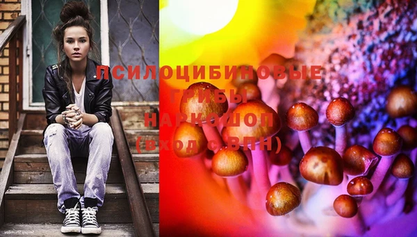 хмурый Балабаново