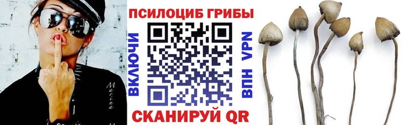 Псилоцибиновые грибы прущие грибы  закладка  Козьмодемьянск 