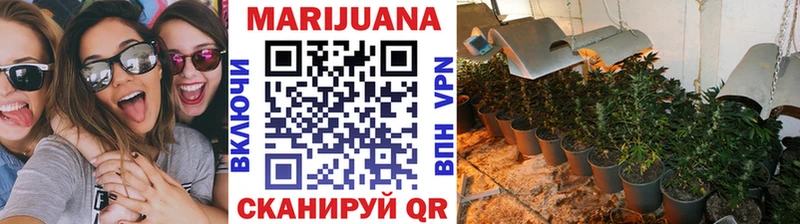 Бошки марихуана индика  Козьмодемьянск 